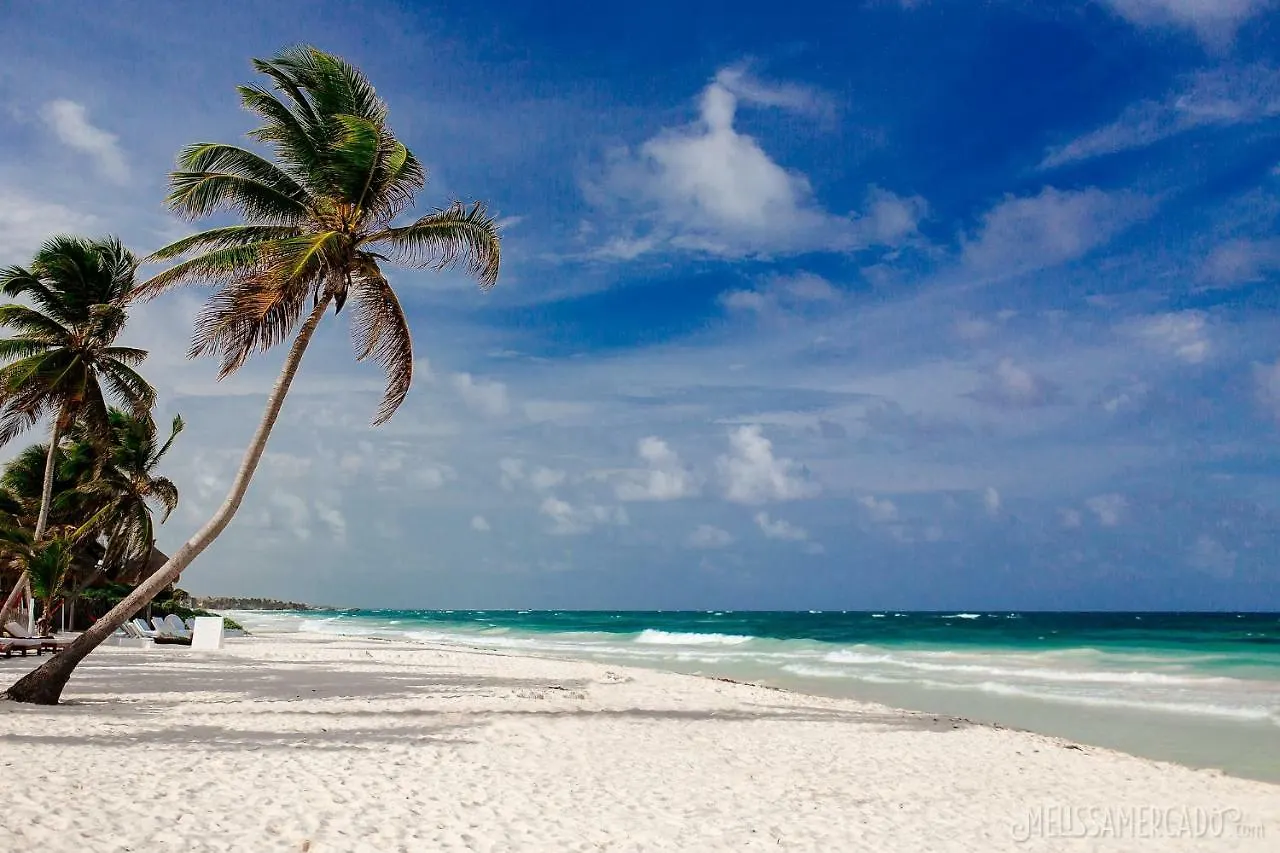 Jungle Luxury Experience - Villa Selva Tulum