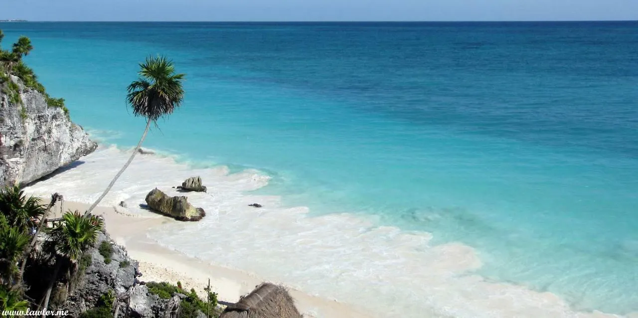 Jungle Luxury Experience - Villa Selva Tulum