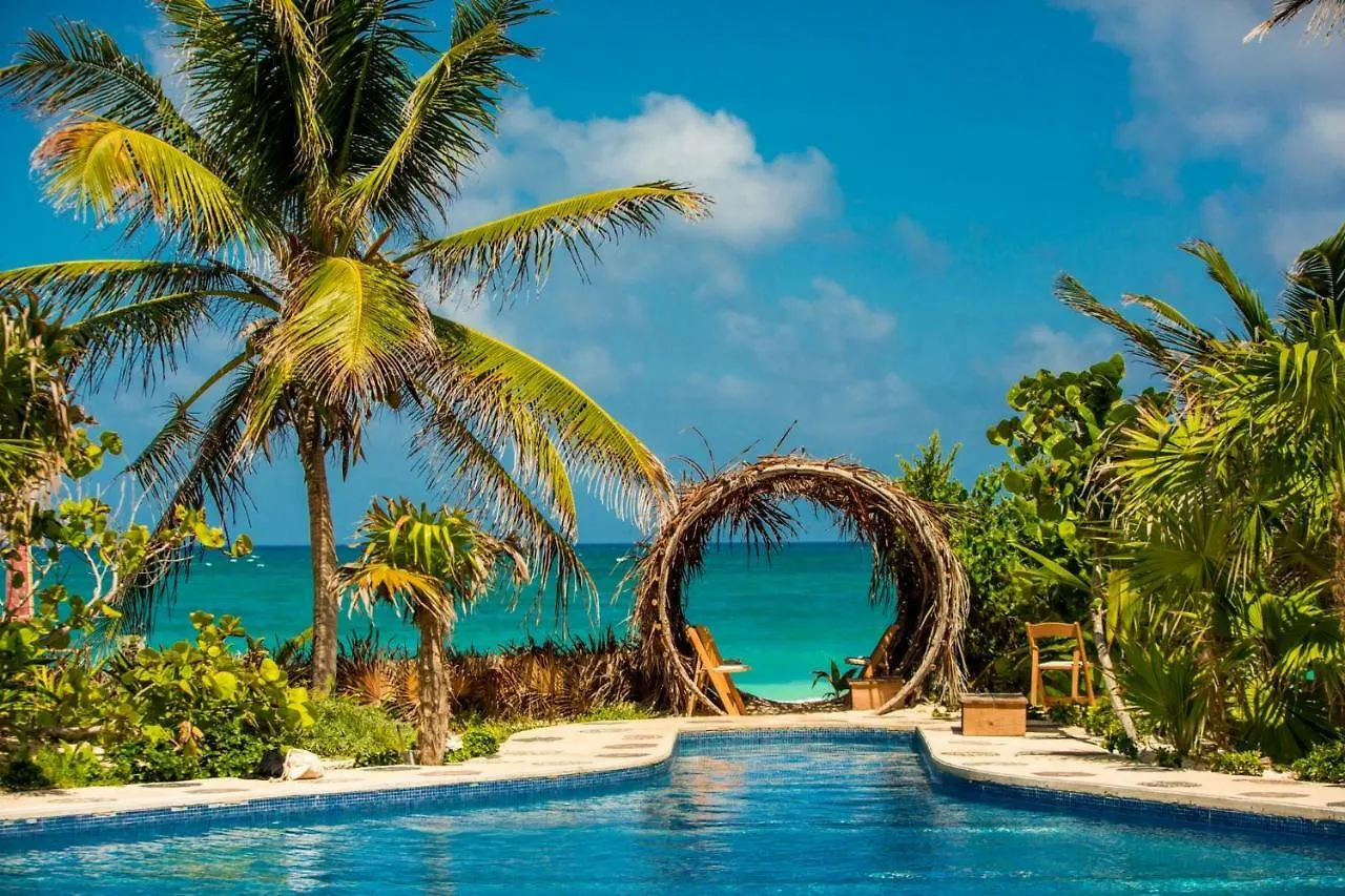 Jungle Luxury Experience - Villa Selva Tulum 0*,
